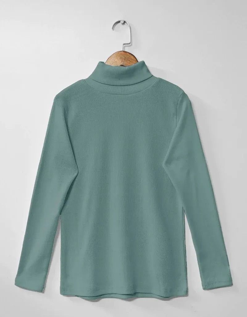 CH#379 HIGH NECK