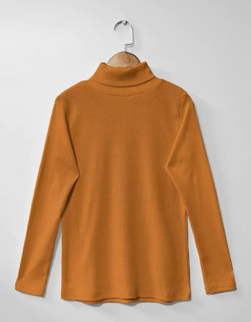 CH#379 HIGH NECK